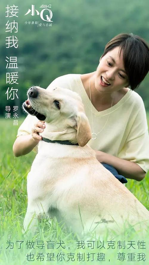 爱达荷州驾驶证怎么买到